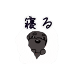 黒しゅなオリーブ6レンジャー(いっちぃ)（個別スタンプ：13）