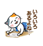 サラリーマン猫田氏の「毎日つかう言葉」（個別スタンプ：30）