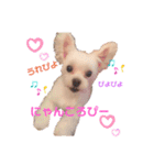 ころぴよ（個別スタンプ：1）