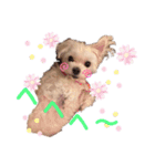 ころぴよ（個別スタンプ：14）