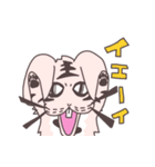 うさトラ犬太郎（個別スタンプ：1）
