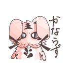 うさトラ犬太郎（個別スタンプ：36）