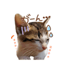 姫と三獣士♡子猫のナナ♡（個別スタンプ：4）