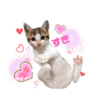 姫と三獣士♡子猫のナナ♡（個別スタンプ：8）