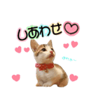 姫と三獣士♡子猫のナナ♡（個別スタンプ：15）