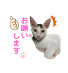 ドビーのぶさかわスタンプ（個別スタンプ：18）