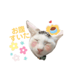 ドビーのぶさかわスタンプ（個別スタンプ：19）