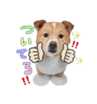 ♡わちゃわちゃ家族♡（個別スタンプ：1）