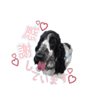 ♡わちゃわちゃ家族♡（個別スタンプ：3）