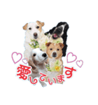 ♡わちゃわちゃ家族♡（個別スタンプ：4）