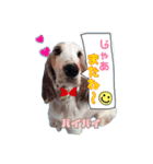 ♡わちゃわちゃ家族♡（個別スタンプ：8）