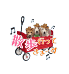 ♡わちゃわちゃ家族♡（個別スタンプ：11）