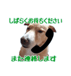 ♡わちゃわちゃ家族♡（個別スタンプ：12）