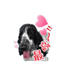 ♡わちゃわちゃ家族♡（個別スタンプ：13）