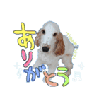 ♡わちゃわちゃ家族♡（個別スタンプ：15）