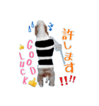 ♡わちゃわちゃ家族♡（個別スタンプ：16）