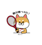 テニスやりたすぎる柴犬（個別スタンプ：1）