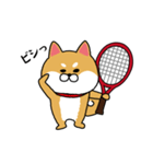 テニスやりたすぎる柴犬（個別スタンプ：2）