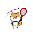 テニスやりたすぎる柴犬（個別スタンプ：3）