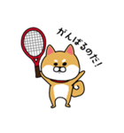 テニスやりたすぎる柴犬（個別スタンプ：6）