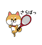 テニスやりたすぎる柴犬（個別スタンプ：18）