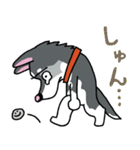 お茶目なハスキー（個別スタンプ：30）
