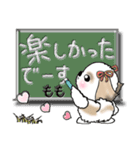 シーズー犬のももちゃん（個別スタンプ：27）