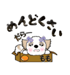 シーズー犬のももちゃん（個別スタンプ：31）