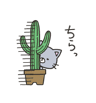 ネコとサボテン（個別スタンプ：30）