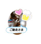 ぱぴよんさん4（個別スタンプ：22）