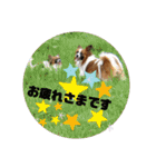 ぱぴよんさん4（個別スタンプ：28）