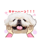 もんちゃんとゆかいな仲間たち（個別スタンプ：2）