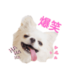 もんちゃんとゆかいな仲間たち（個別スタンプ：3）