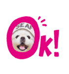 もんちゃんとゆかいな仲間たち（個別スタンプ：6）