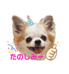 もんちゃんとゆかいな仲間たち（個別スタンプ：8）