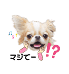 もんちゃんとゆかいな仲間たち（個別スタンプ：9）