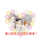 もんちゃんとゆかいな仲間たち（個別スタンプ：14）