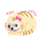もんちゃんとゆかいな仲間たち（個別スタンプ：16）