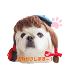 もんちゃんとゆかいな仲間たち（個別スタンプ：19）
