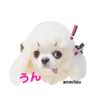 もんちゃんとゆかいな仲間たち（個別スタンプ：20）