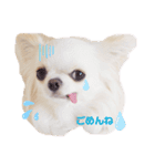 もんちゃんとゆかいな仲間たち（個別スタンプ：23）