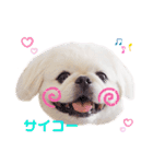 もんちゃんとゆかいな仲間たち（個別スタンプ：25）