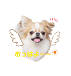 もんちゃんとゆかいな仲間たち（個別スタンプ：26）