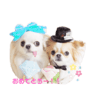 もんちゃんとゆかいな仲間たち（個別スタンプ：32）