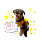 仔犬のカールと仔犬のノア（個別スタンプ：1）