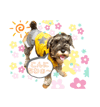 仔犬のカールと仔犬のノア（個別スタンプ：4）