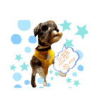 仔犬のカールと仔犬のノア（個別スタンプ：7）