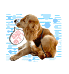 仔犬のカールと仔犬のノア（個別スタンプ：9）