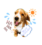 仔犬のカールと仔犬のノア（個別スタンプ：10）