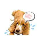 仔犬のカールと仔犬のノア（個別スタンプ：11）